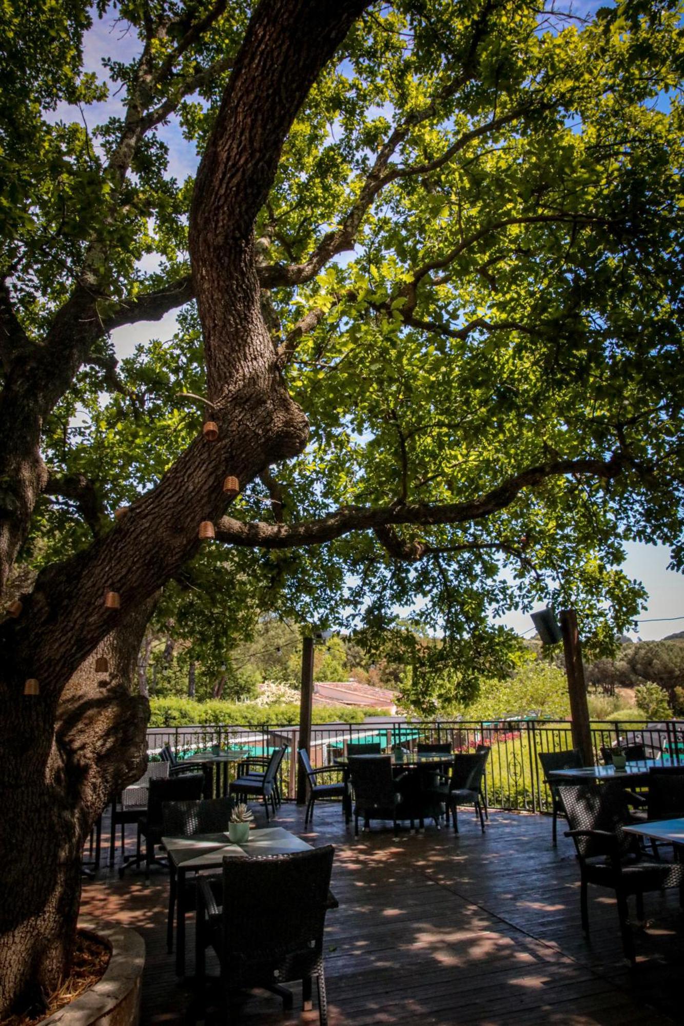 גאסה Domaine De Verdagne מראה חיצוני תמונה